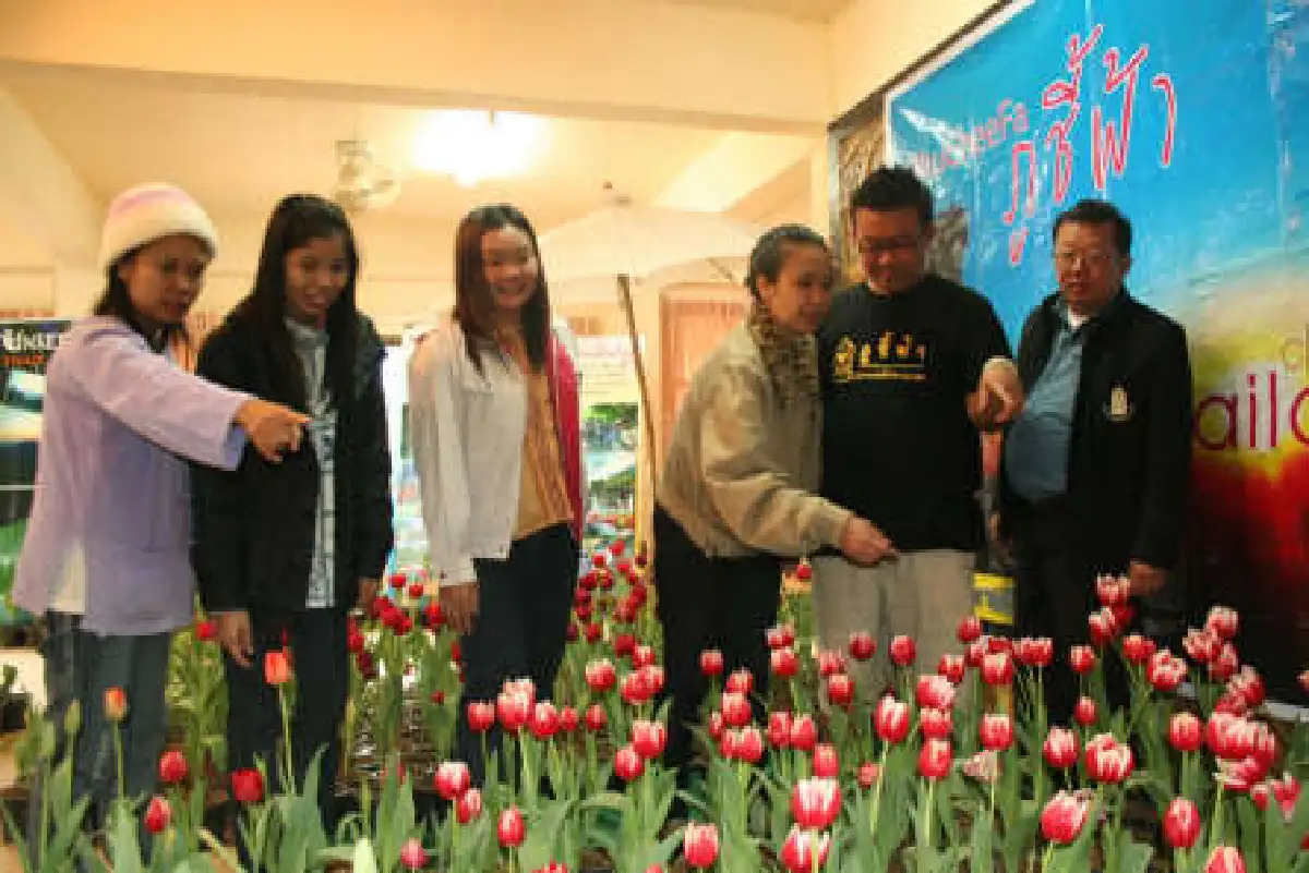 ฉลองปีใหม่คึกคักทั่วไทย