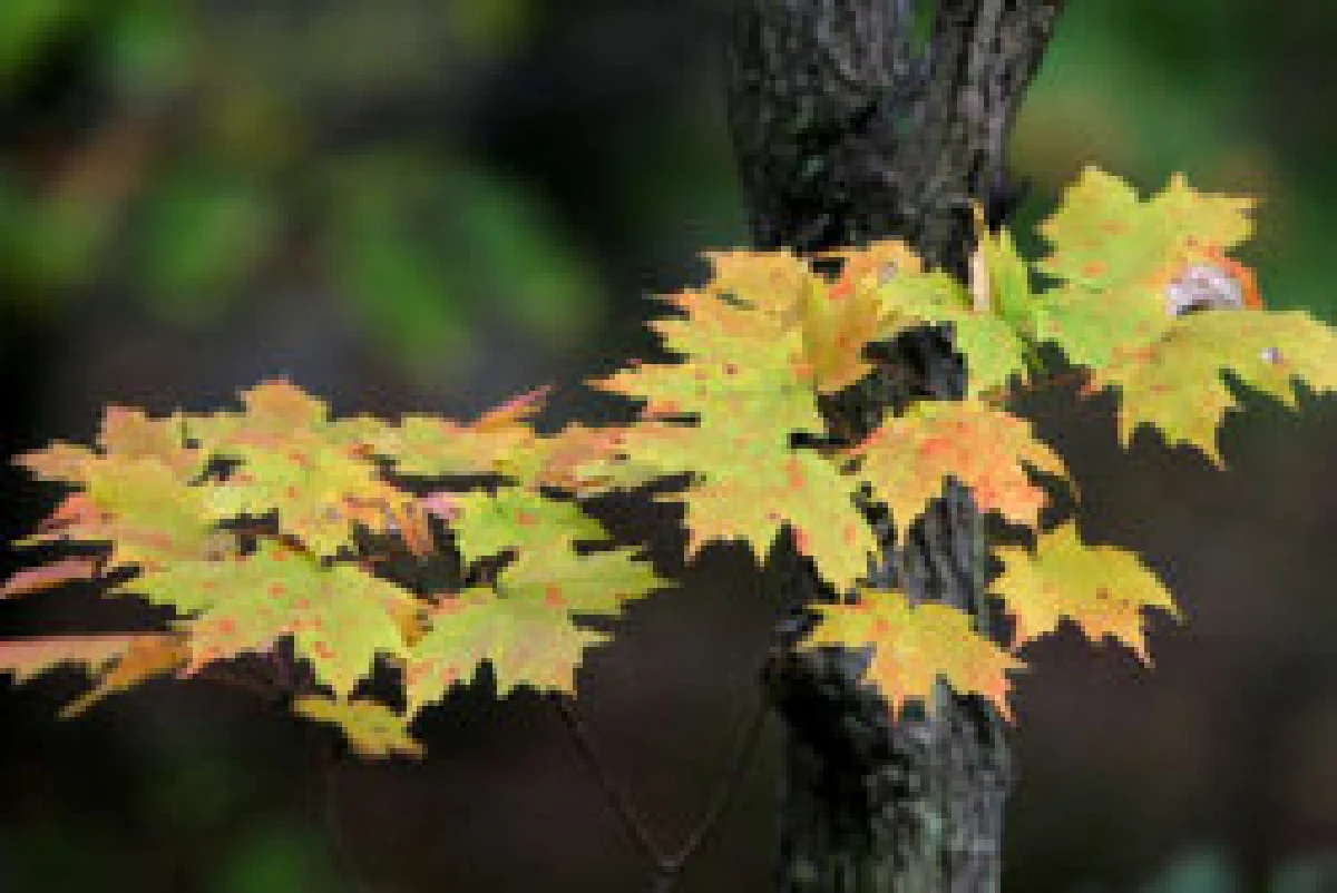 เคล็ดลับหัวใจเศรษฐี ภาวะธรรมจากการแสวงของสูง