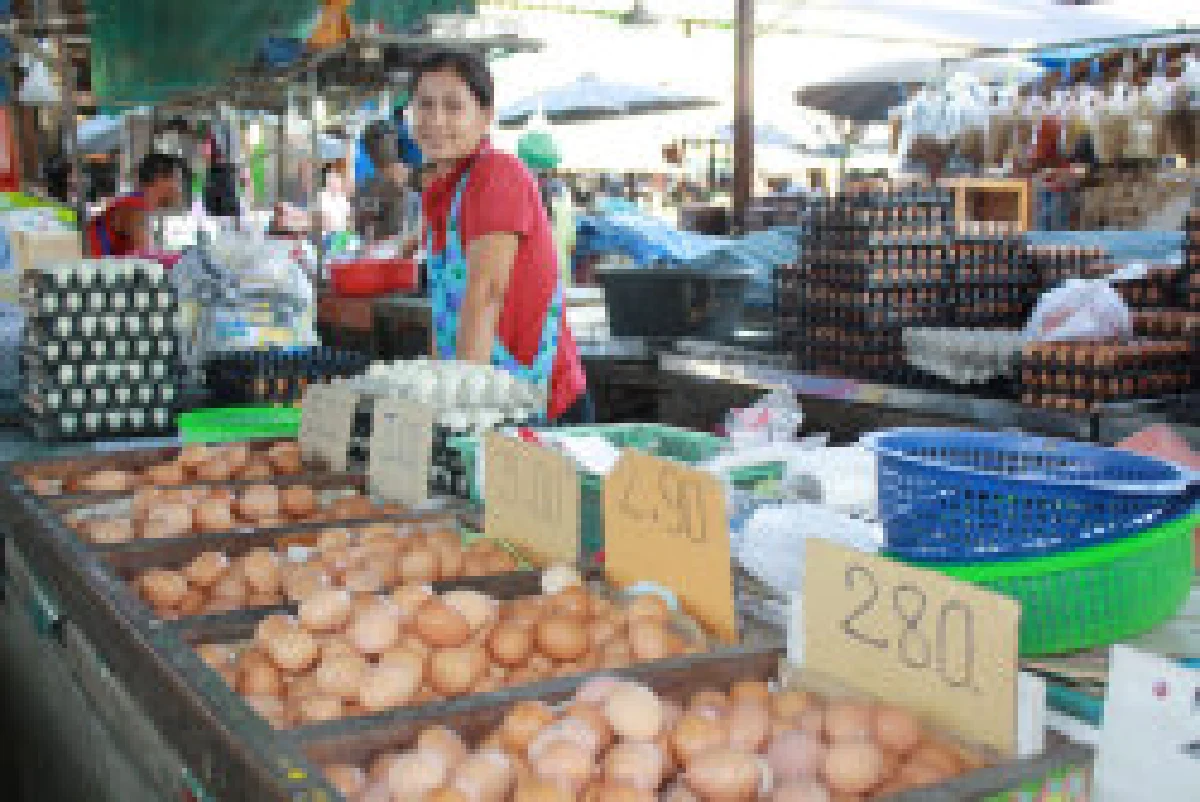 ผ่า นโยบายชั่งไข่วิวัฒน์ รัฐทุ่ม10ล้านบาทเพิ่มทางเลือก