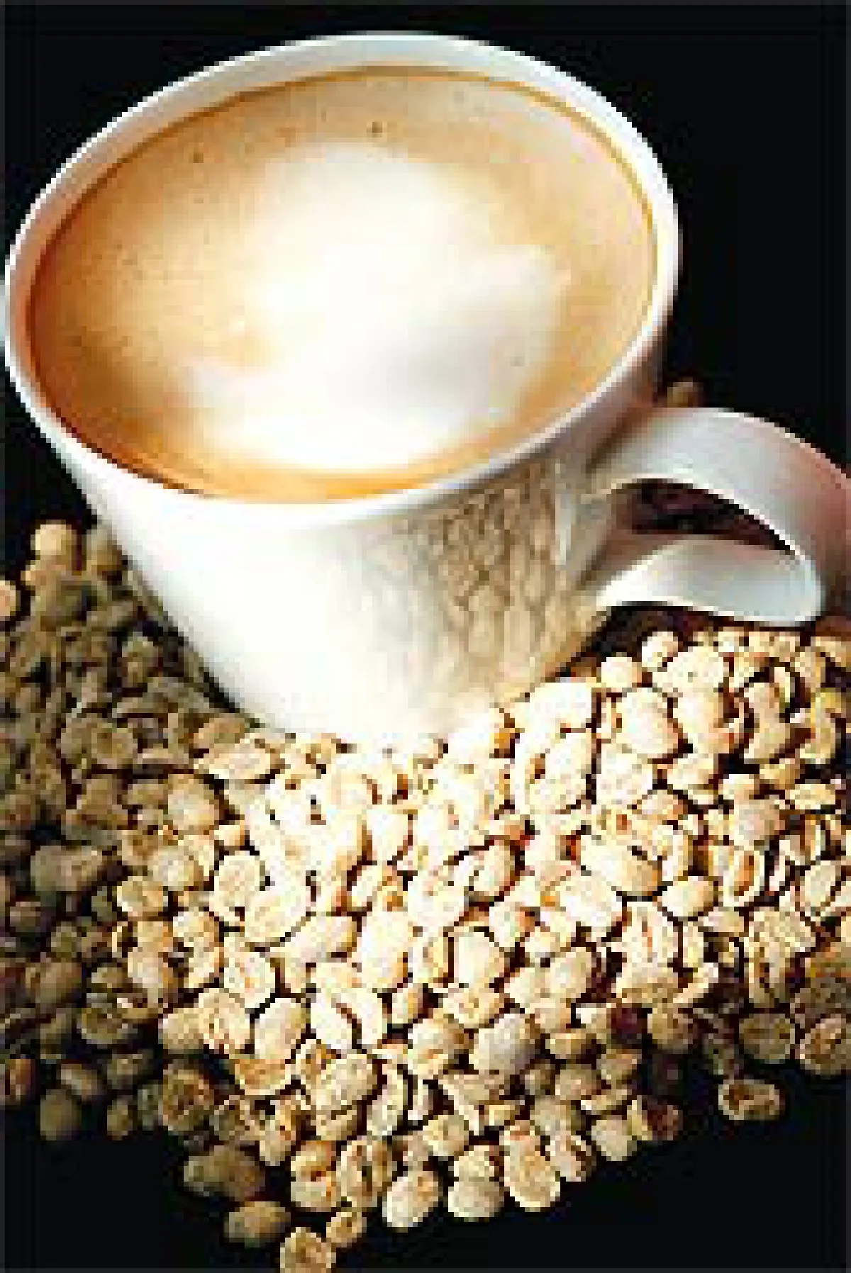 ดม ดื่ม รู้สึก