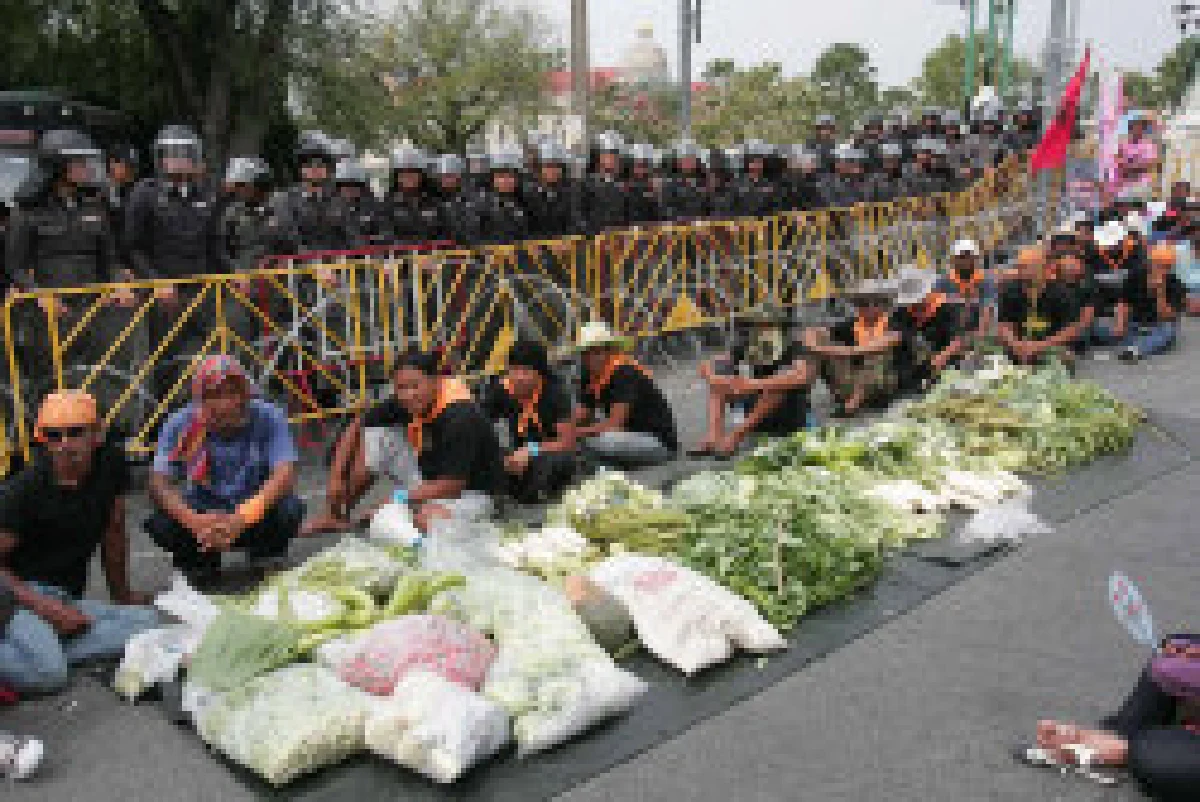 เพราะถูกทุบหม้อข้าว เราจึงต้องสู้