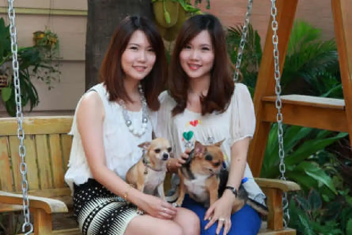 สติชท์ & ลีโล่ ตัวจริง(ซนจริง)ของคู่แฝดไฮคูล