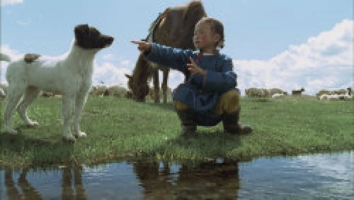 สุขนิยม : คนกับหมา