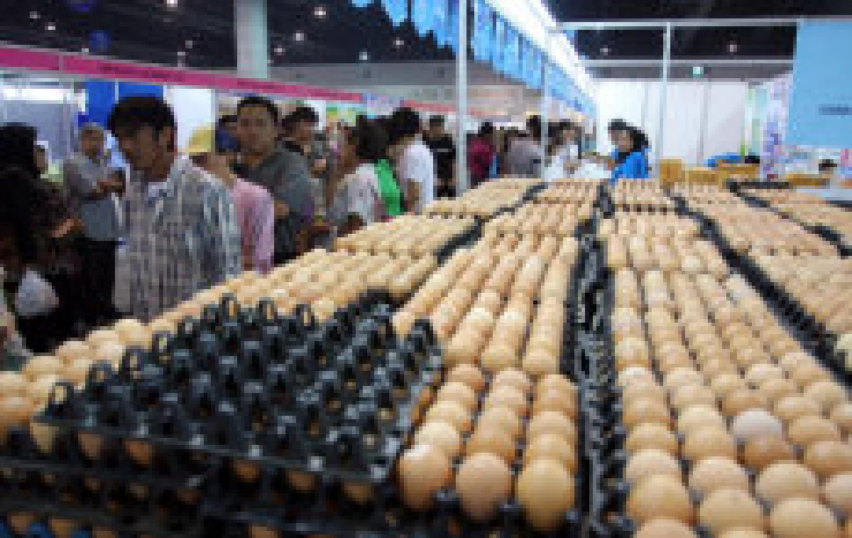 นายกฯเบรกขึ้นราคาไข่ไก่
