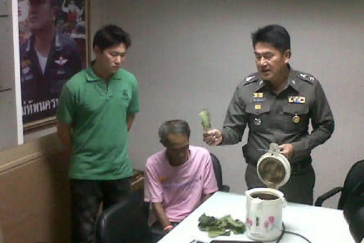 รวบการ์ดพธม.ต้มกระท่อมกินกลางม็อบ