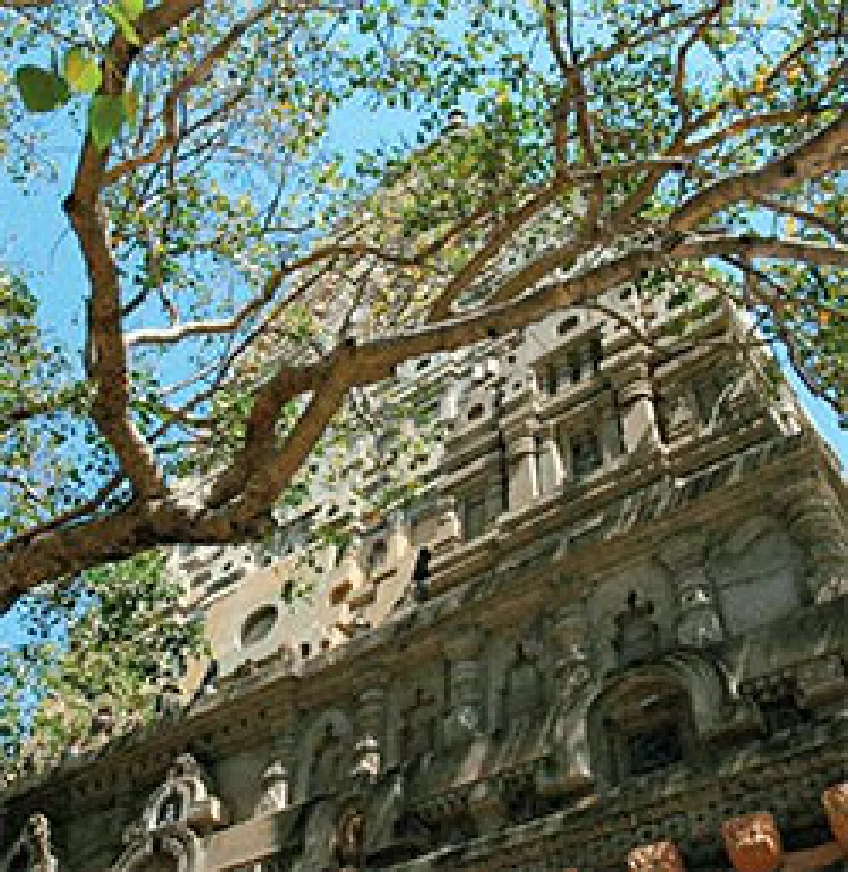 ตื่นอยู่อย่างผู้หลับใหล