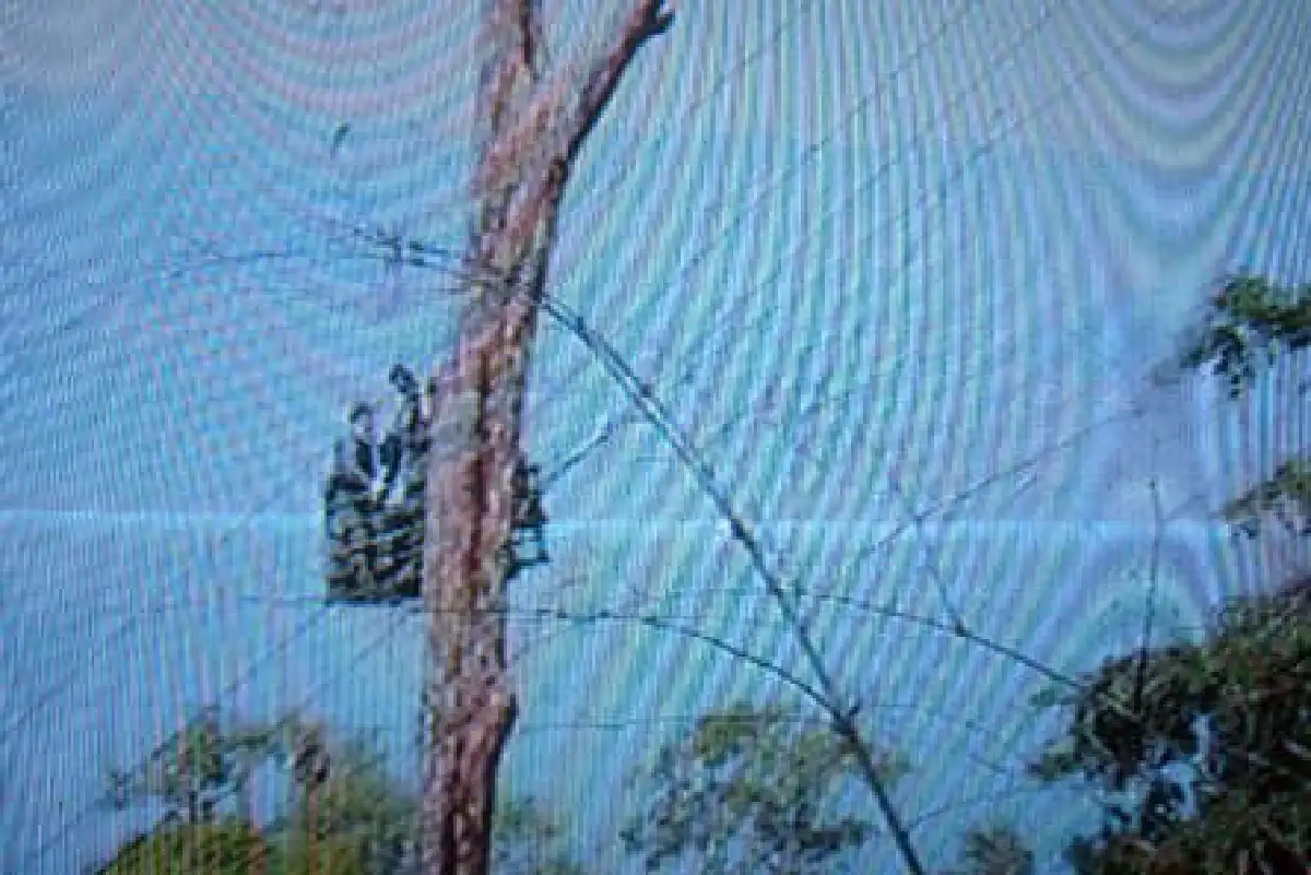 ทหารเผยเขมรสร้างกระเช้าขึ้นปราสาทตั้งแต่ปี52