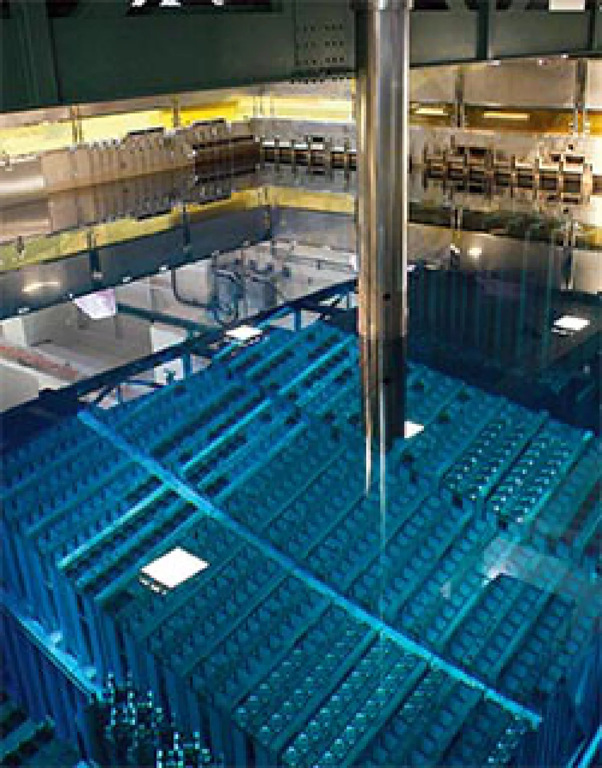 พลูโตเนียม สารมรณะ ไตวาย-ปอดพินาศ ตกค้างชั่วอายุ