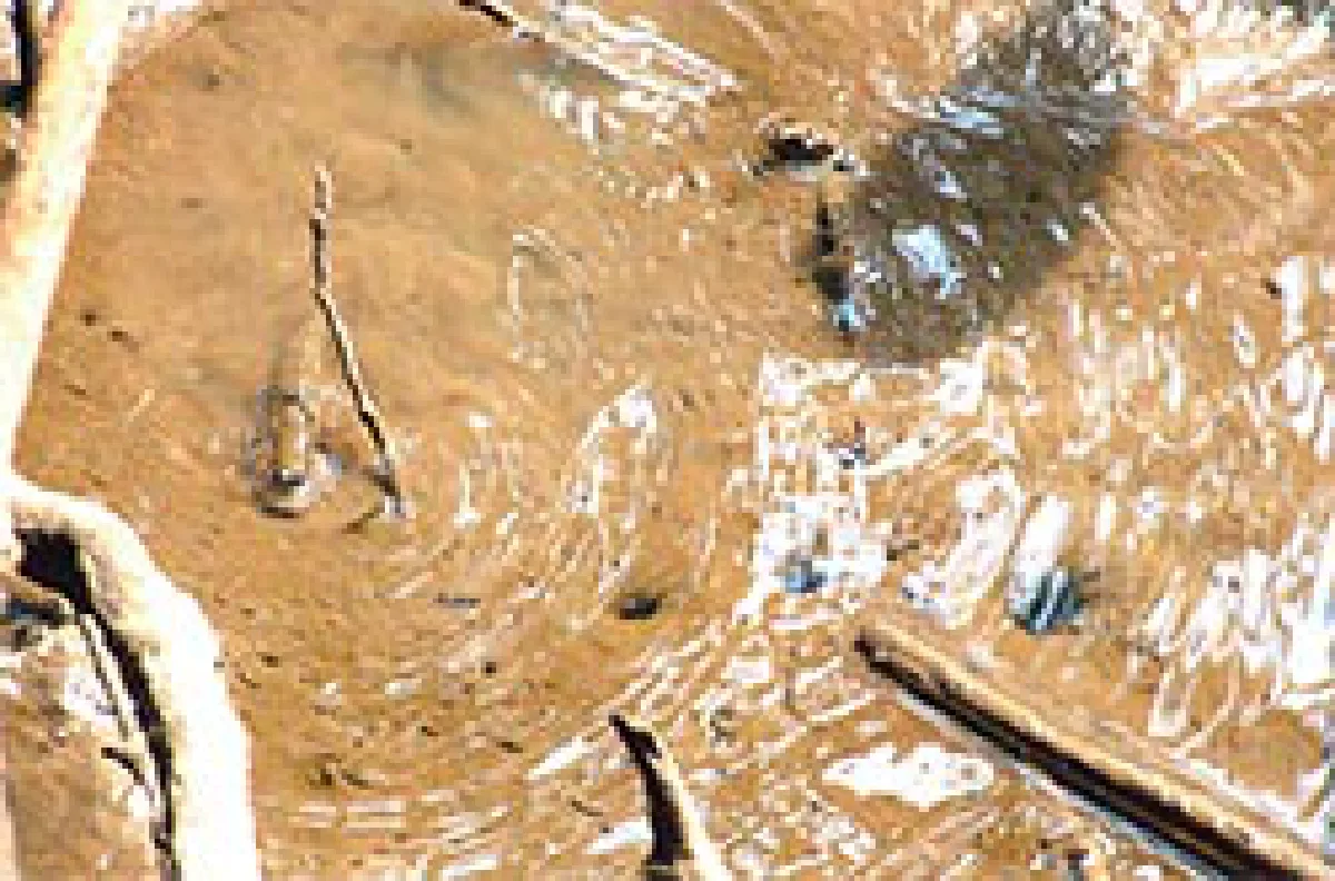 สีสันตะวันออก กับจังหวัดระยอง