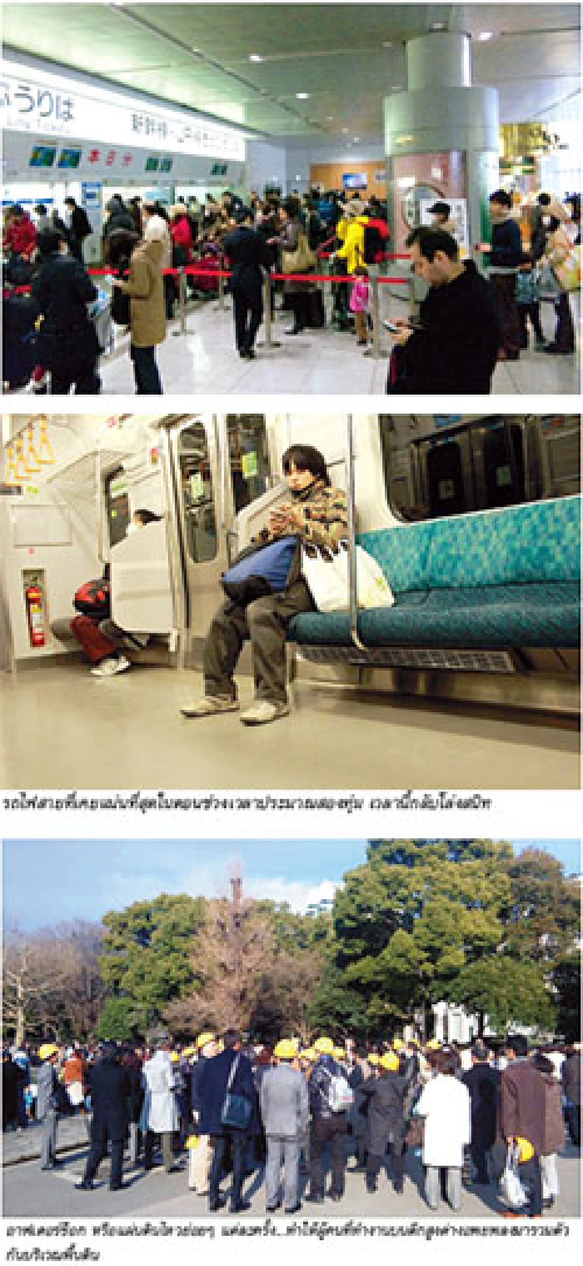 เรื่องเล่าจากสาวไทย...ในกรุงโตเกียว