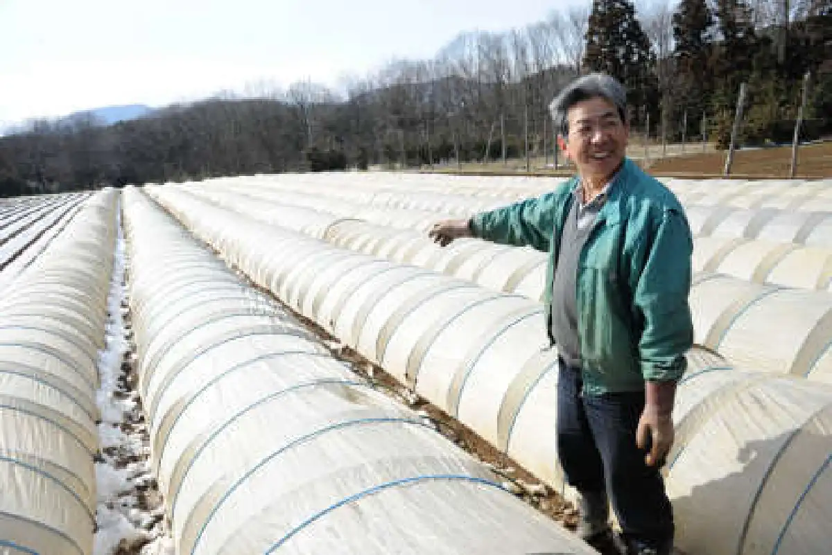 ญี่ปุ่นเตรียมพร้อมขั้นสูงสุดหลังพบพลูโตเนียมรั่วลงดิน