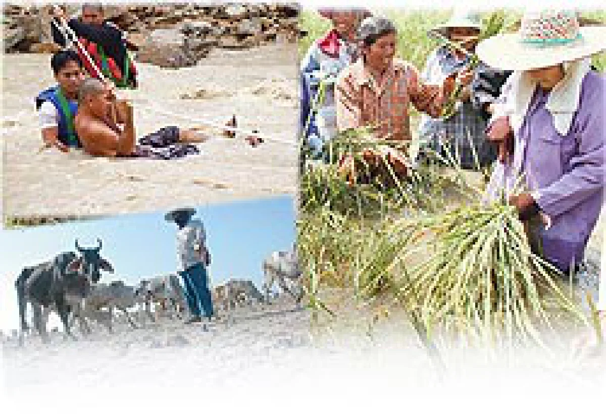 ธกส.ทำใจกระเป๋าฉีก รับประกันภัยพืชผล