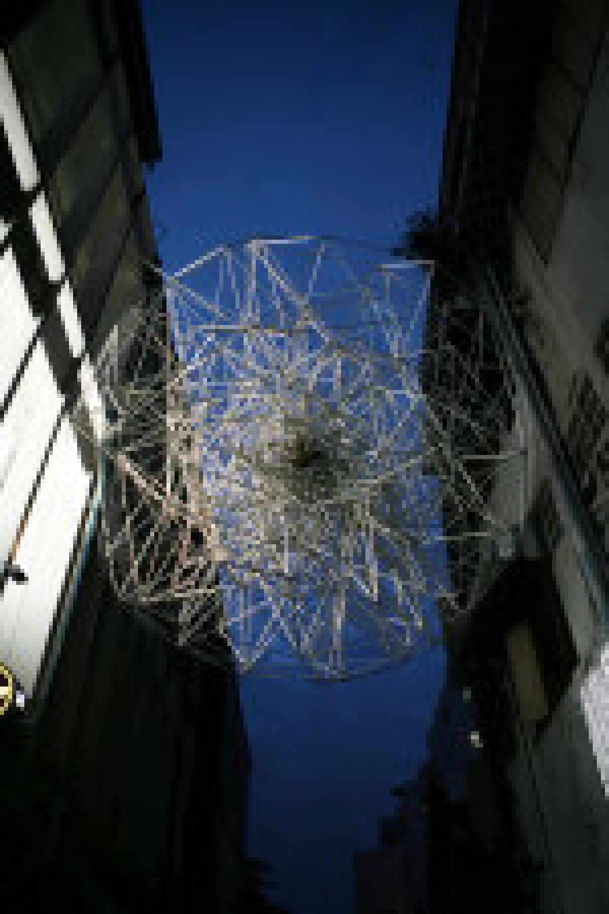 ปริศนาแห่งหญ้าคา 8 กำ