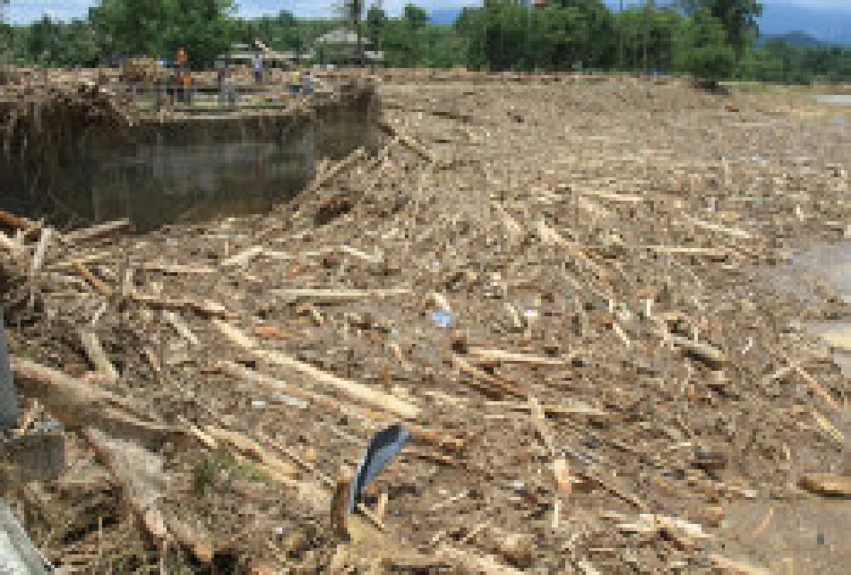 โค่นเขาปลูกยาง-ปาล์มต้นเหตุดินถล่ม