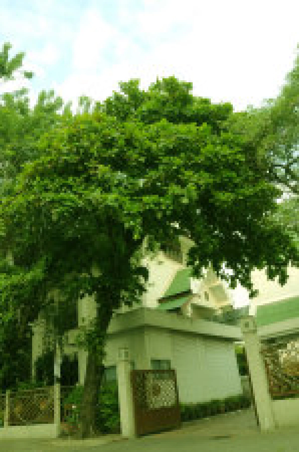 กระทรวงคมนาคม เส้นเลือดใหญ่ด้านขนส่งของไทย