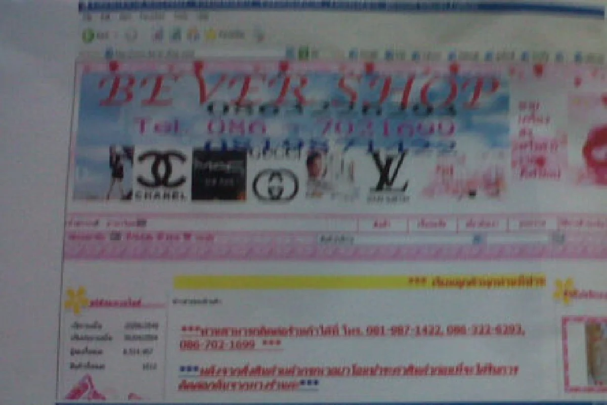 ดีเอสไอจับเน็ตดังขายของปลอม