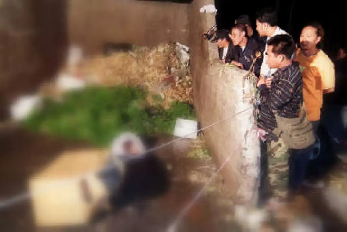 สยองฆ่าหั่นศพทิ้งตลาดสี่มุมเมือง