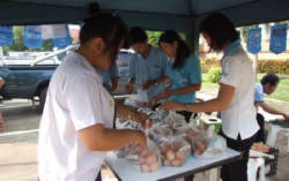 คนพะเยาแย่งซื้อไข่ธงฟ้าเกลี้ยงในครึ่งชั่วโมง