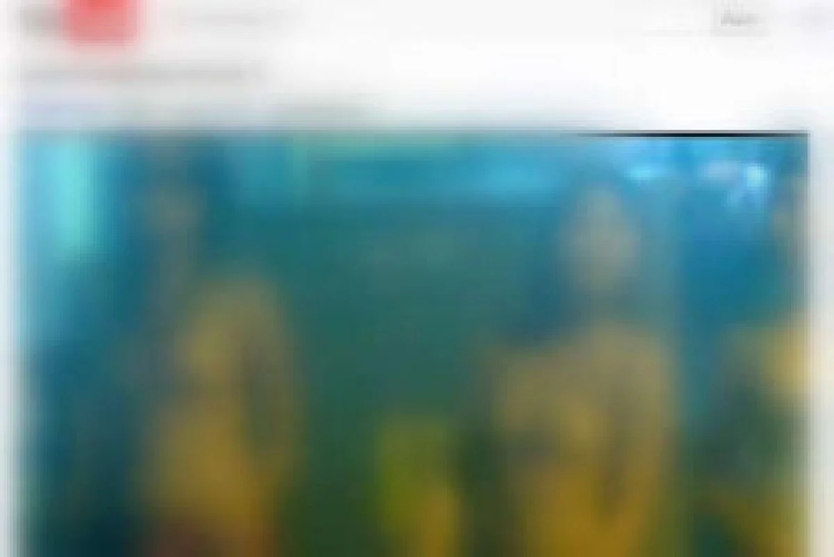 ตร.เร่งสอบคลิปเปลือยอกโผล่อีก