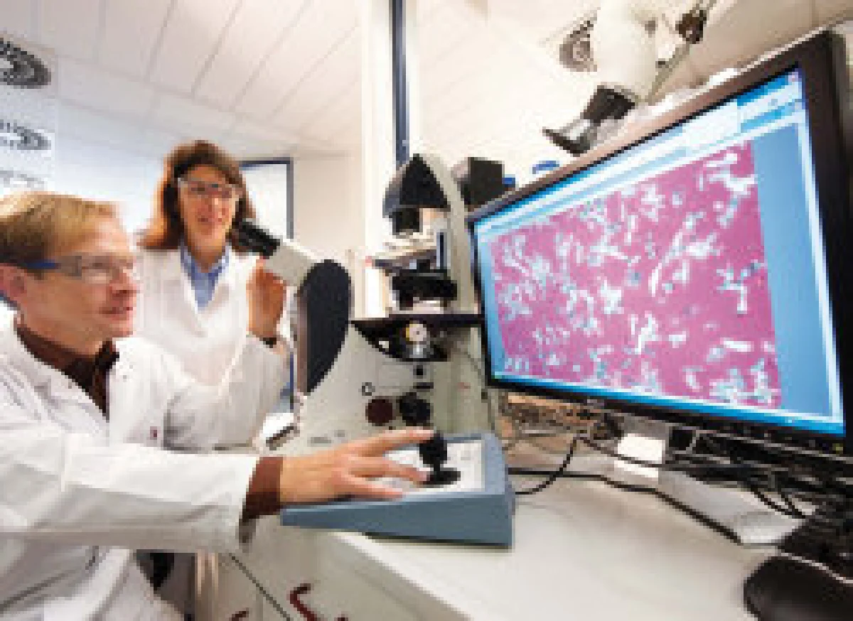 วางแผนก่อนทำประกัน ตอน สุขภาพและวินาศภัย