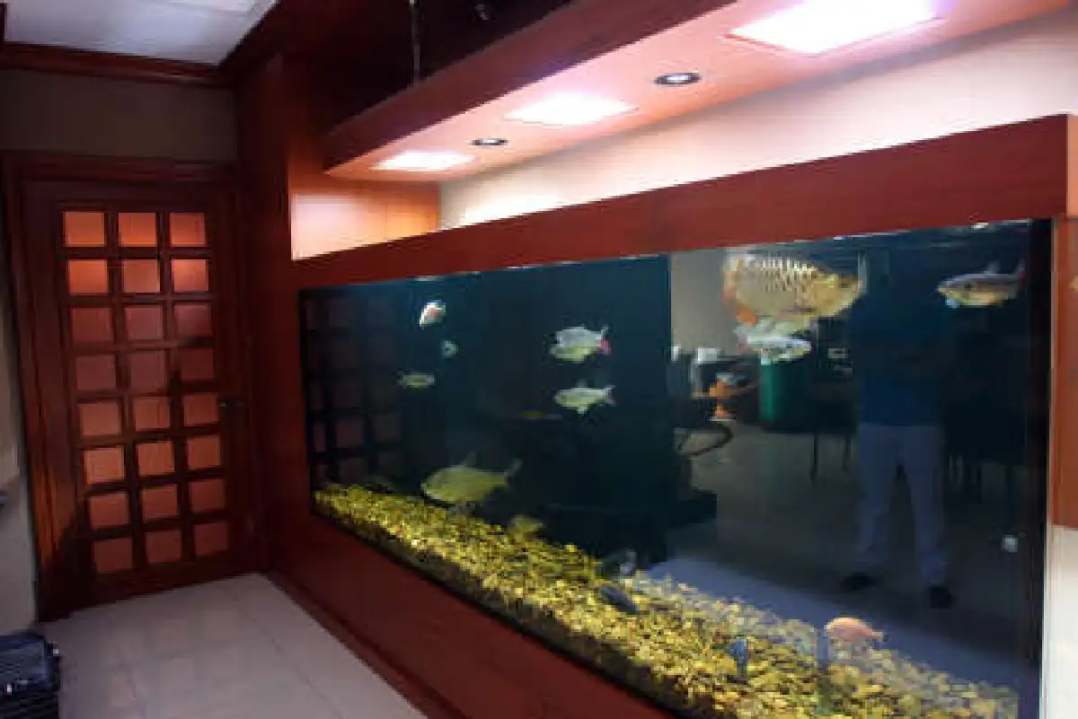 แทนธวัช เรืองศร พาชมเพนต์เฮาส์หวานผสานแกร่ง