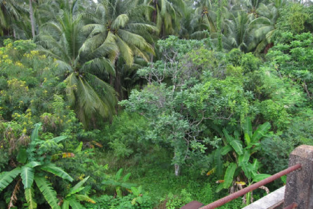 เกาะกูด เกาะหมาก 2 เกาะที่ยังน่าค้นหา