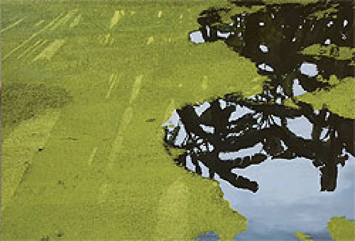 แสง-เงา ปะทะ สาระความงาม