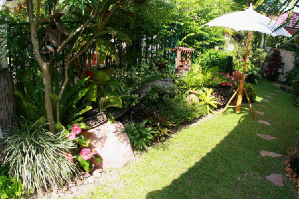 ดูแลสนามหญ้า...ให้สวยเสมอ