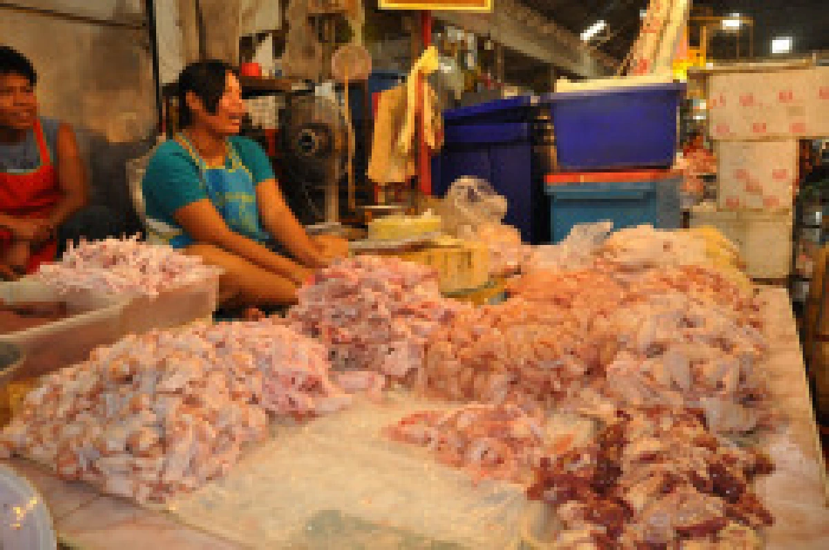 เด้งปศุศัตว์โคราชเซ่นโรงชำแหละซากไก่เน่า