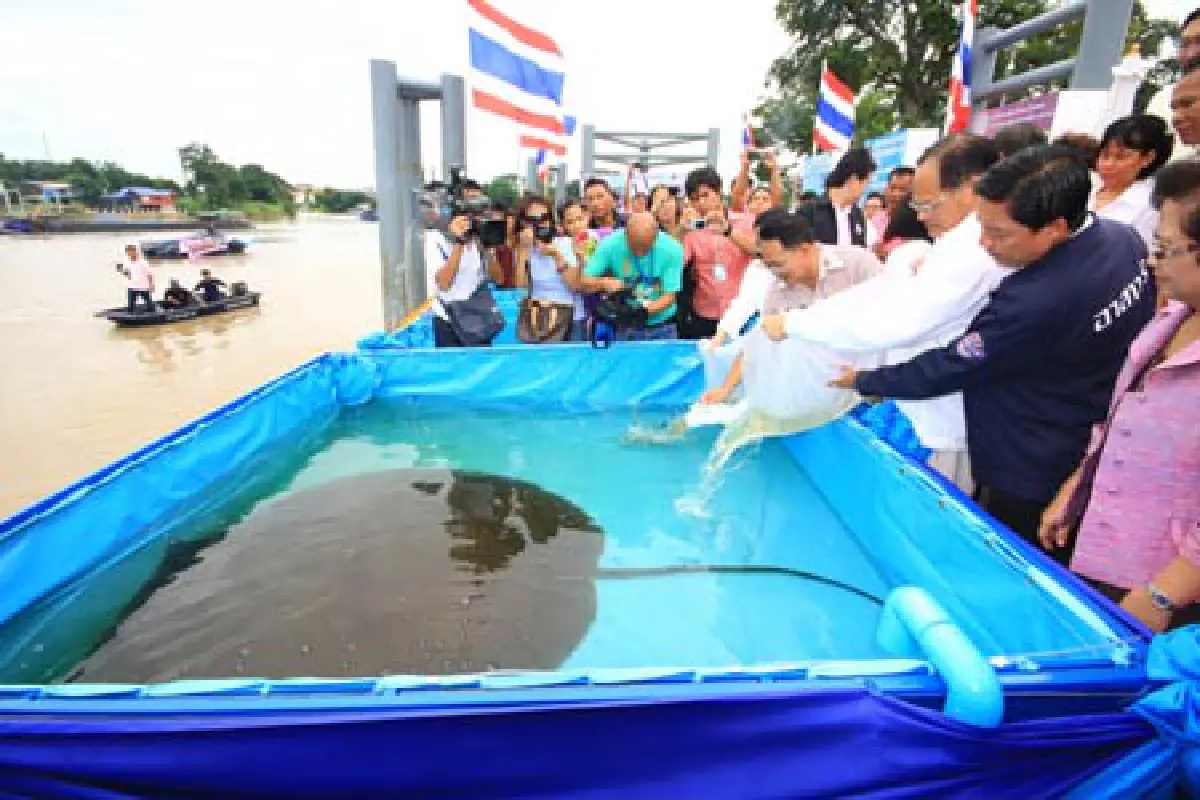 ปล่อยปลา-กุ้งฟื้นแม่น้ำเจ้าพระยา