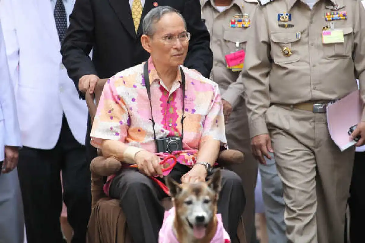 ในหลวงเสด็จฯท่าน้ำศิริราช