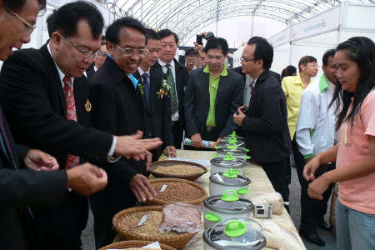 พ่อค้าแห่ยื่นประมูลข้าว2หมื่นตัน พ่อค้าแห่ยื่นประมูลข้าว2หมื่นตัน