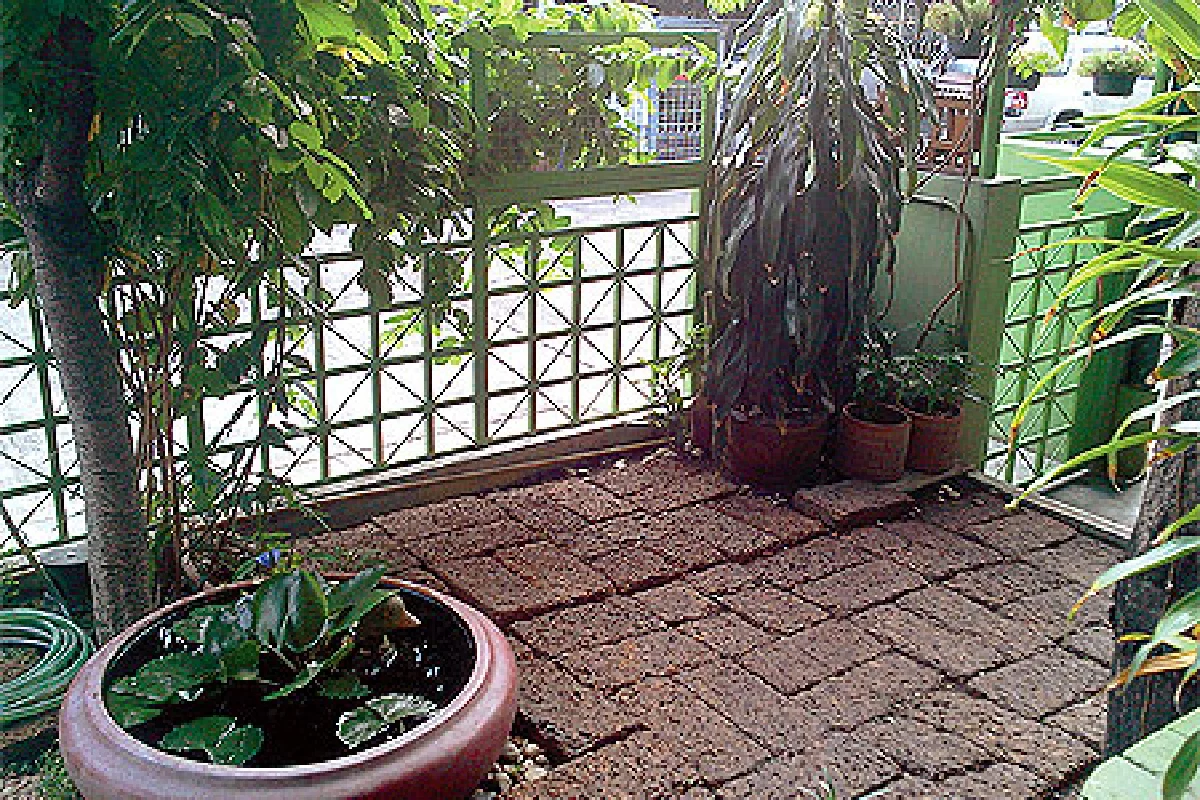 อะไรๆ ก็ฮวงจุ้ย