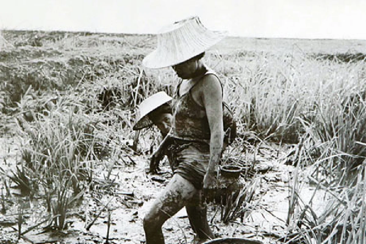 คารวะหนึ่งจอก ผลงานภาพถ่ายชั้นครูของ 'รงค์ วงษ์สวรรค์