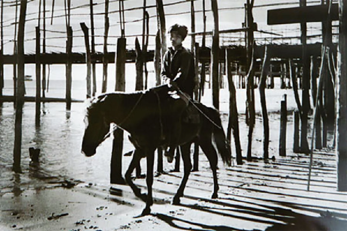 คารวะหนึ่งจอก ผลงานภาพถ่ายชั้นครูของ 'รงค์ วงษ์สวรรค์