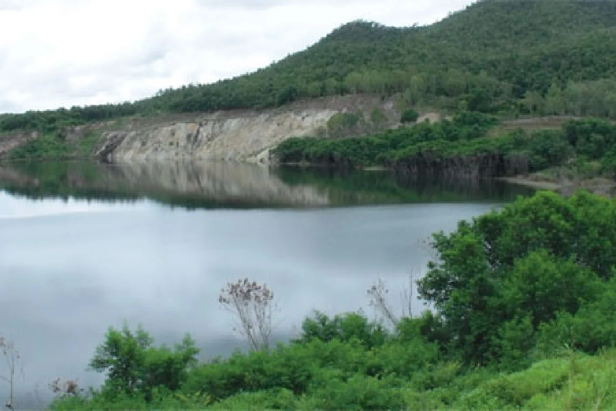 แนวทางฟื้นฟูป่าหลังการทำเหมือง