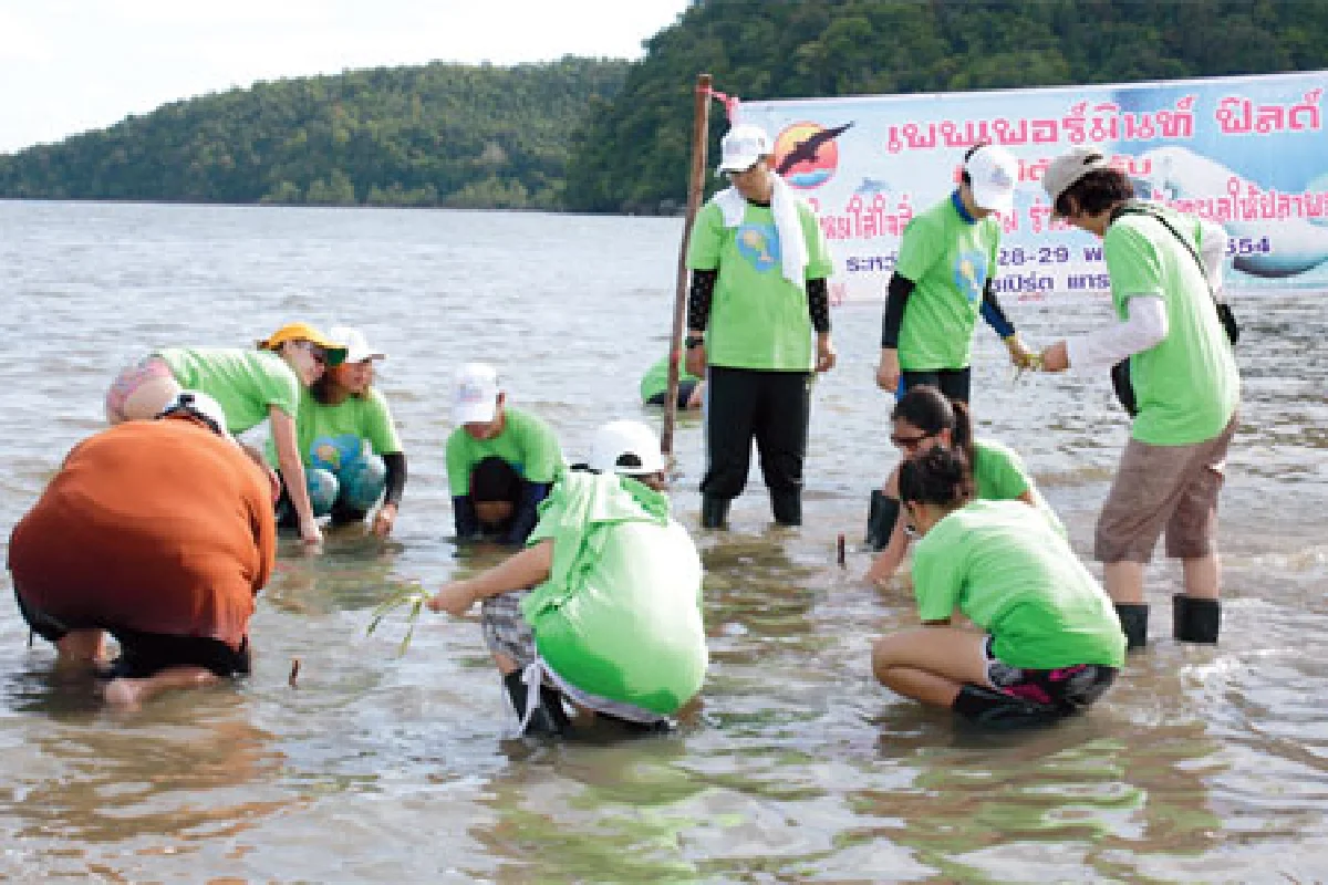 ไปกับเพพเพอรืมินท์ฟิลด์ปลูกหญ้า(ทะเล)ให้พะยูนน้อย