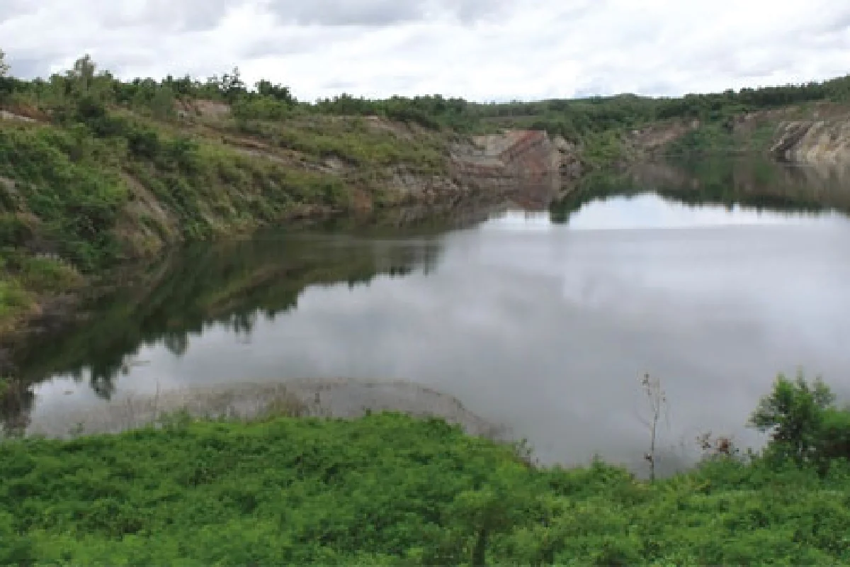 แนวทางฟื้นฟูป่าหลังการทำเหมือง