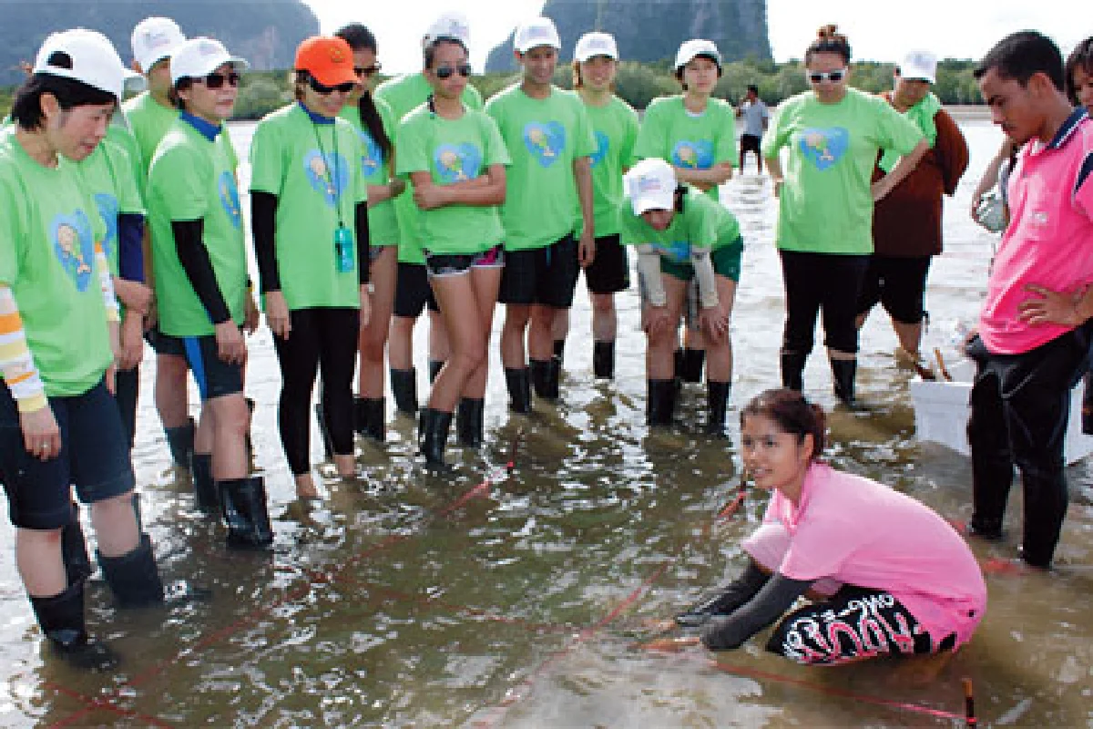 ไปกับเพพเพอรืมินท์ฟิลด์ปลูกหญ้า(ทะเล)ให้พะยูนน้อย