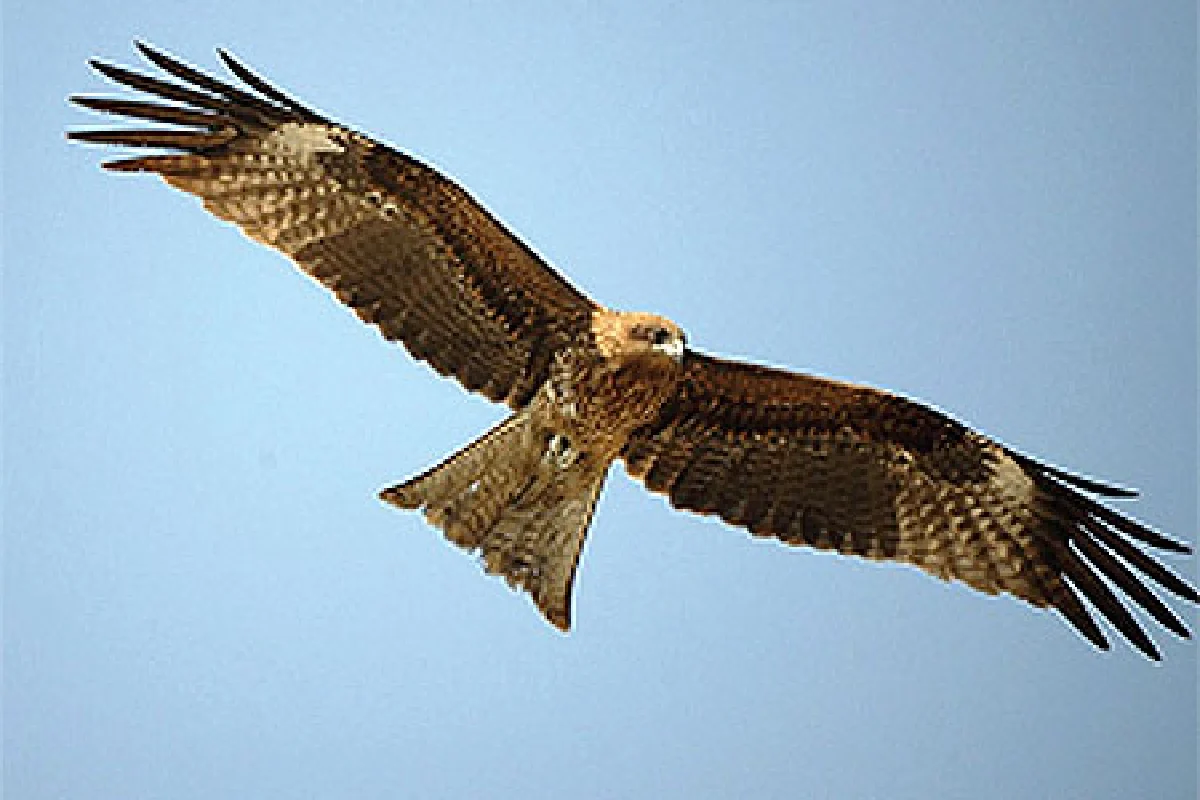 ทนเจ็บปวดเพื่อเกิดใหม่