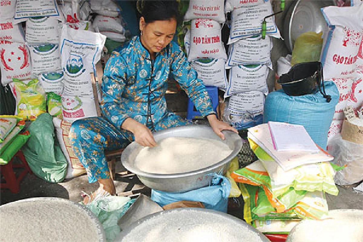 ราคาข้าวโลกจ่อพุ่ง ตลาดสะดุ้ง ไทยผลัดรัฐบาล