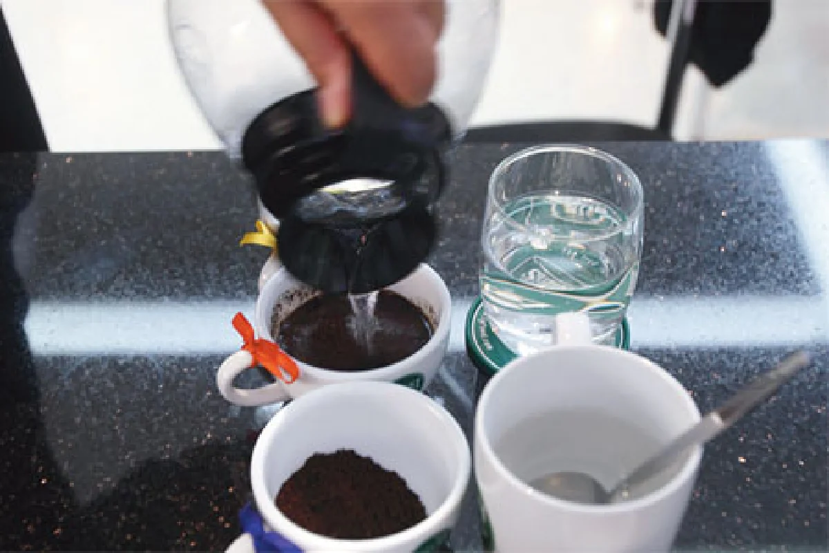 กาแฟ คัปปิ้ง หยั่งรสกาแฟอย่างผู้เชี่ยวชาญ