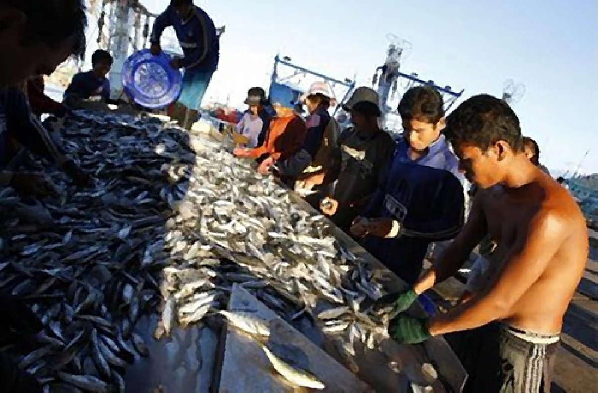 migrant workers