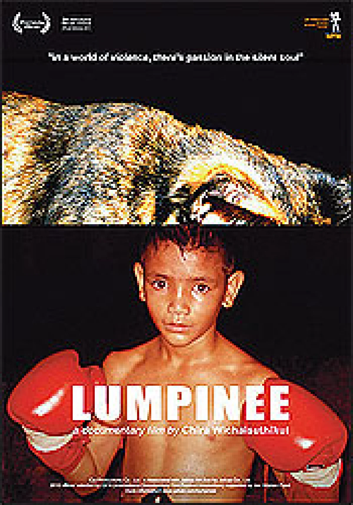 หัวอกนักมวยเด็ก