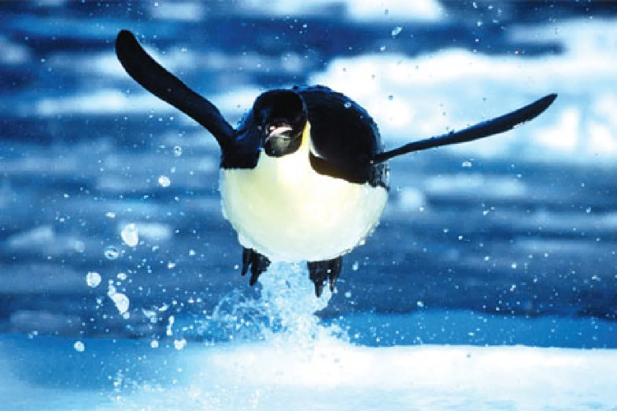 กลับมาอีกครั้ง มหกรรมการแสดง-ดนตรีนานาชาติ