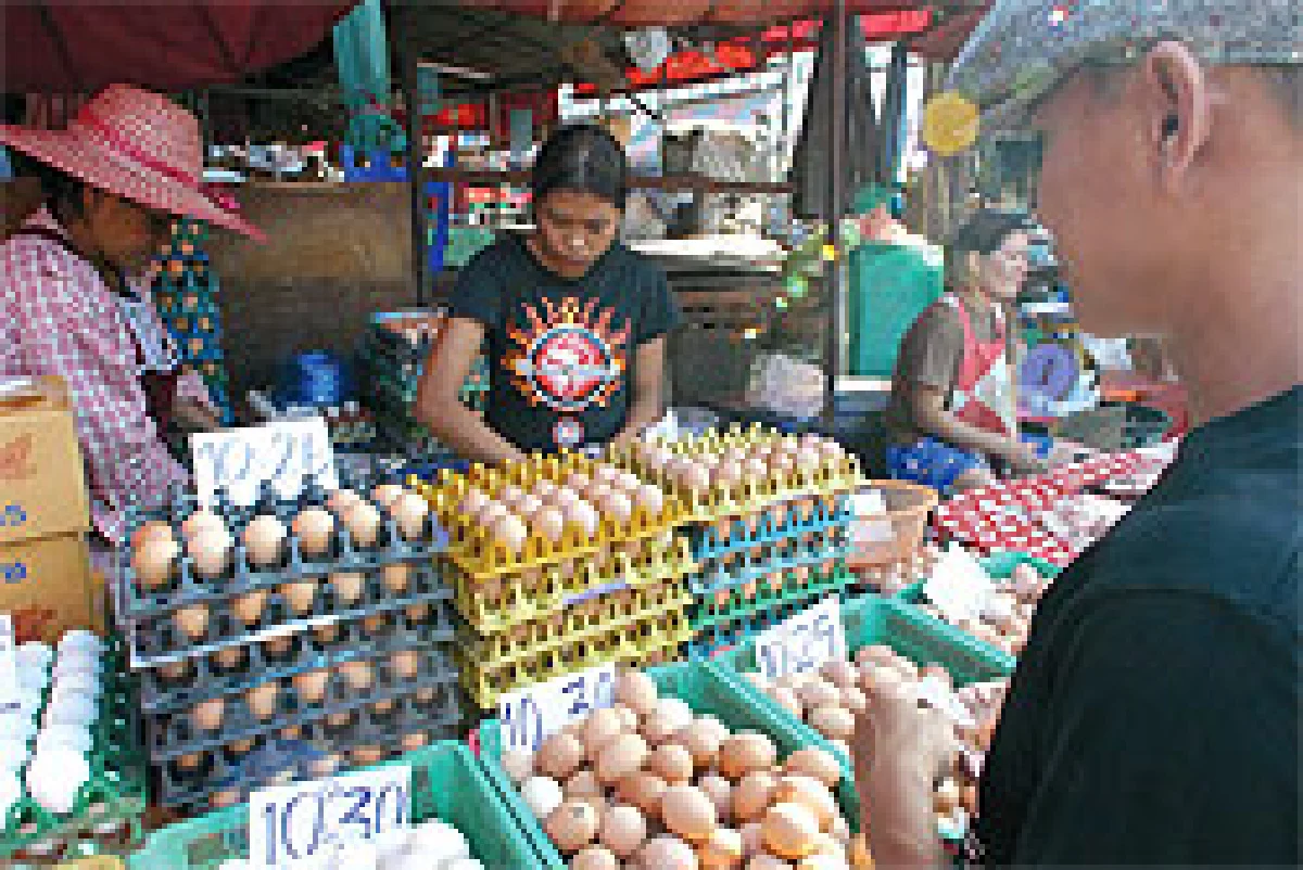 อธิบดีปศุสัตว์ยันไข่ไม่ขึ้นราคา