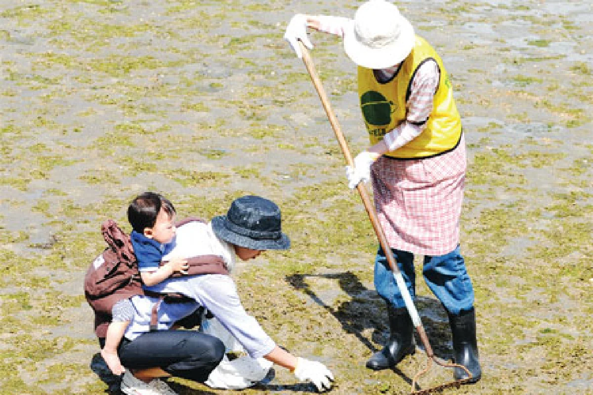 ดินแดนซึ่งซากุระไม่เคยหยุดหอม