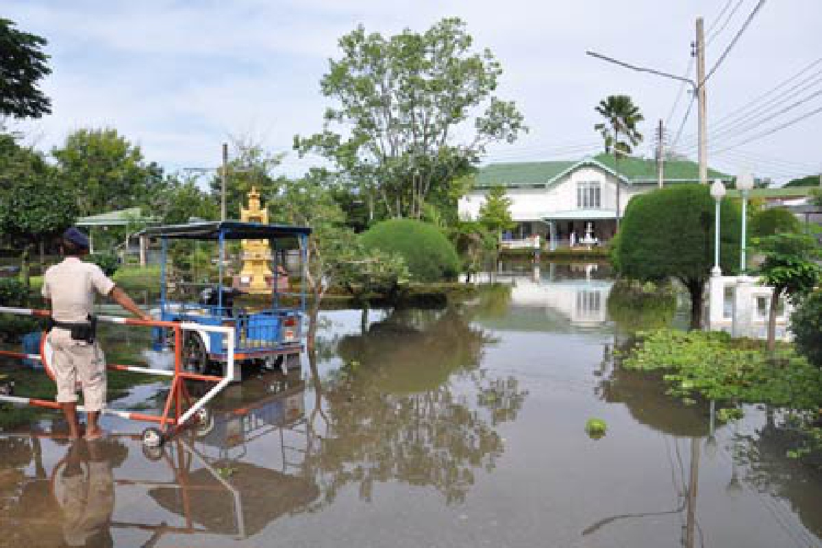 นกเตนถล่มโคราชน้ำท่วมทั่วเมือง นกเตนถล่มโคราชน้ำท่วมทั่วเมือง