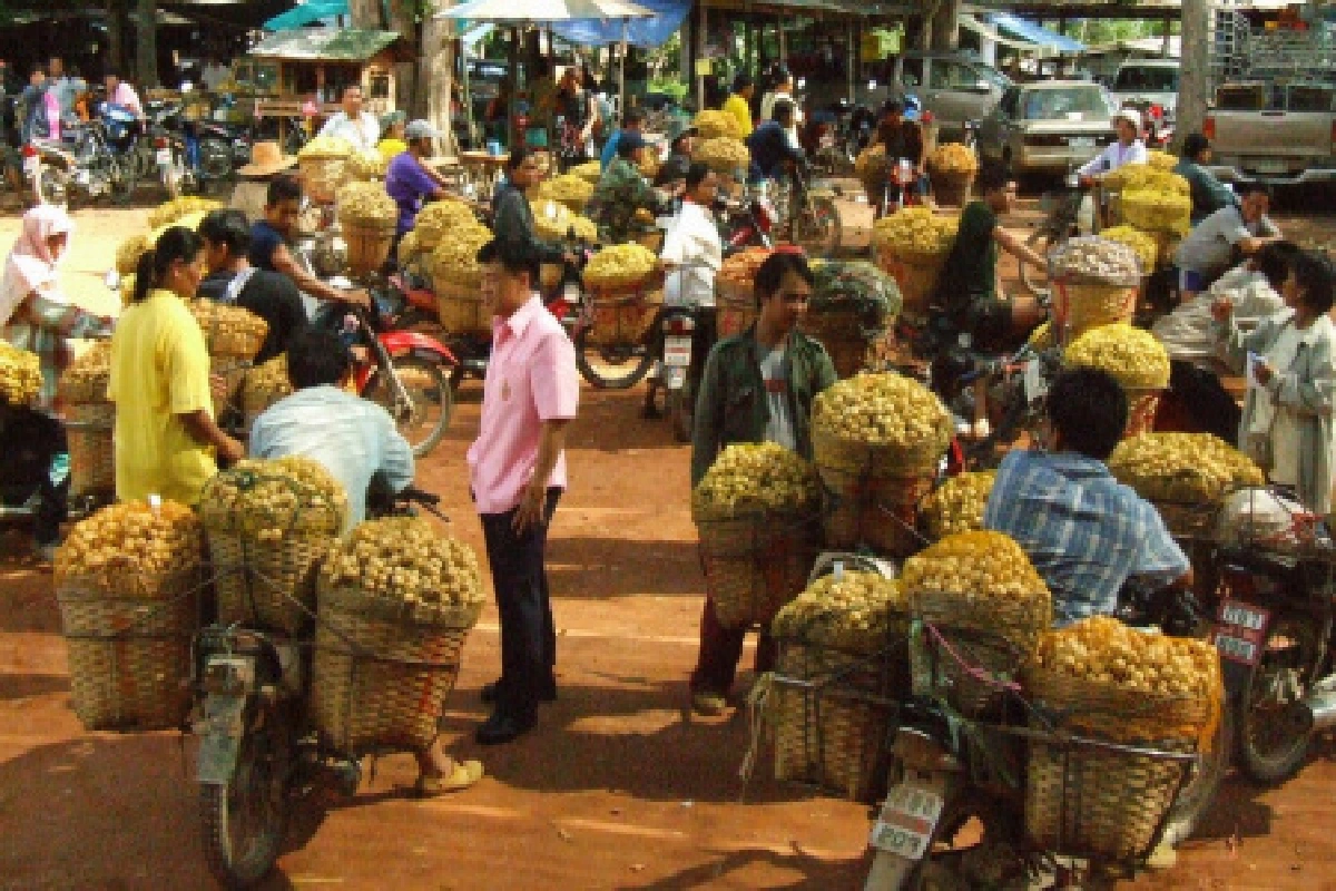 วอนรัฐบาลพยุงลองกองวูบ