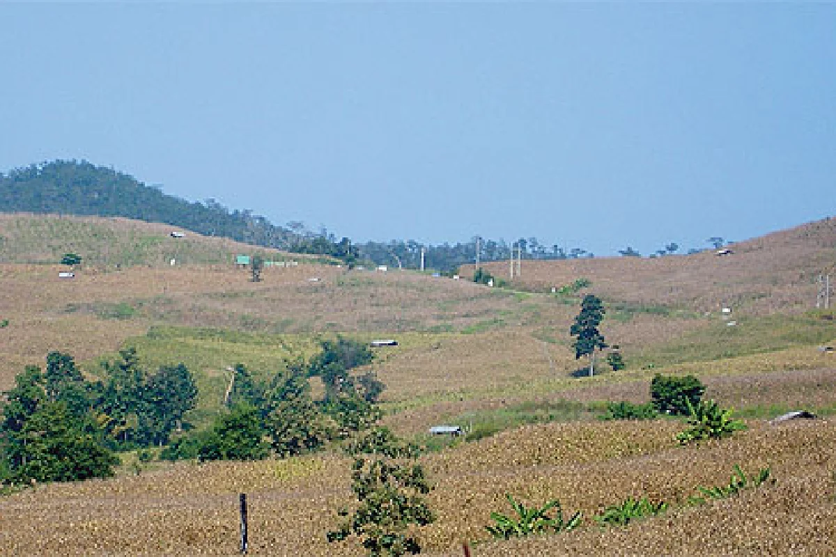 การทำลายป่าฝนเขตร้อนของไทย